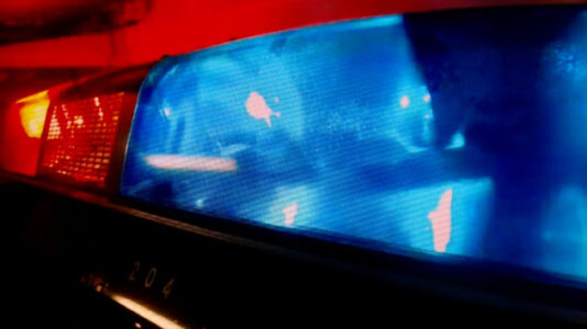 Suspect sought after New Jersey synagogue targeted by Molotov cocktail