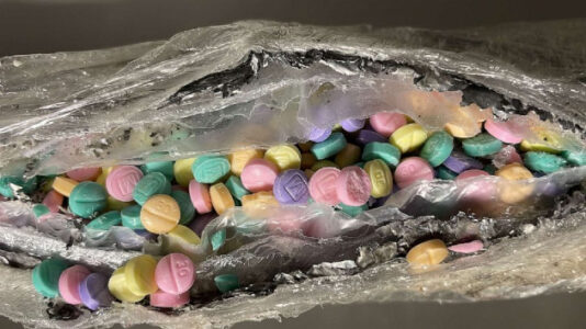 New York state seized record amount of fentanyl in 2022: DEA