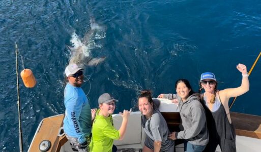 12-year-old catches great white shark while fishing in Florida