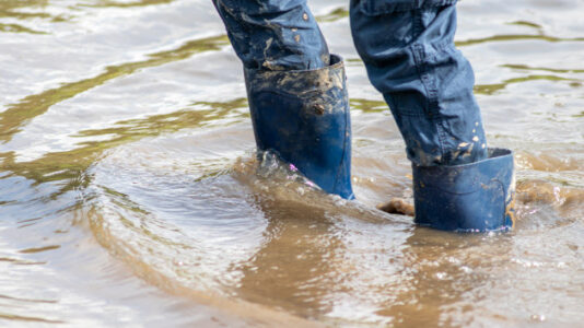 Torrential rains wreaking havoc on California communities proving beneficial for state’s forests
