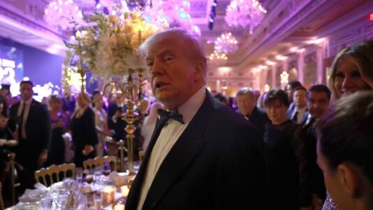 Judges reluctant to say Trump was acting as president when he allegedly defamed E. Jean Carroll