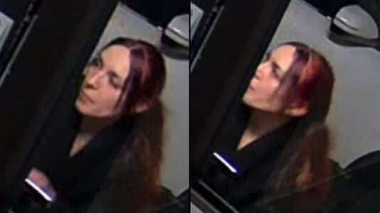 Woman caught on video setting fire to gay pride flag outside Manhattan restaurant