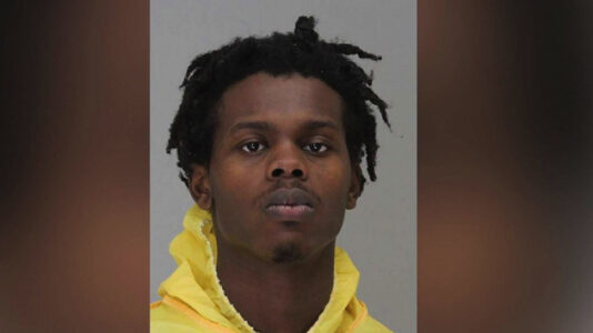 Man arrested in connection with monkeys stolen from Dallas Zoo: Police