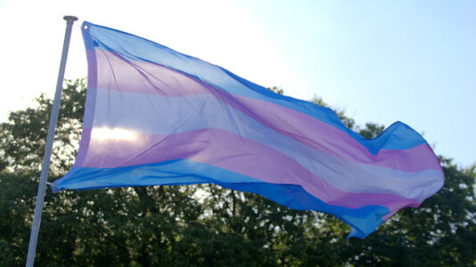 Transgender care targeted into adulthood in these states