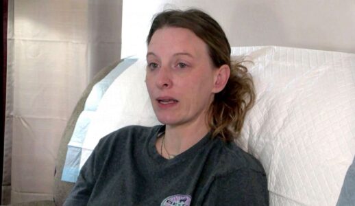 Escaped pet monkey shot after it ripped a woman’s ear in half