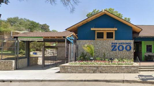 7 guests injured after tree branch fell on them at San Antonio Zoo