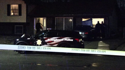 Three shot dead in Illinois home invasion, police say