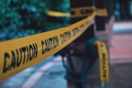 Mom dies after tree falls on her during Boy Scout hike