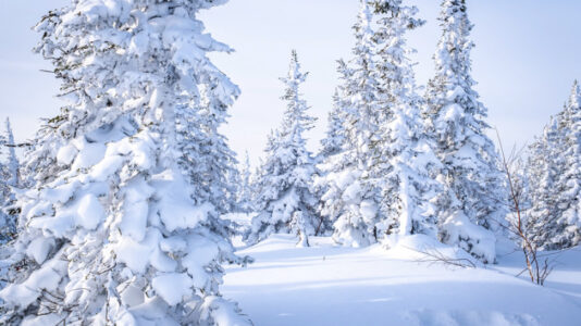 Record snowfall buries California mountain town