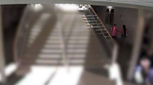 Ninth grader sues school district after staffer allegedly ‘physically assaulted’ her when she didn’t recite the Pledge of Allegiance