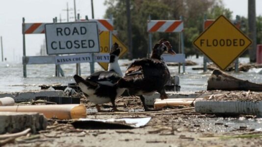 California farming valley scrambles to save future as Tulare Lake floods take over