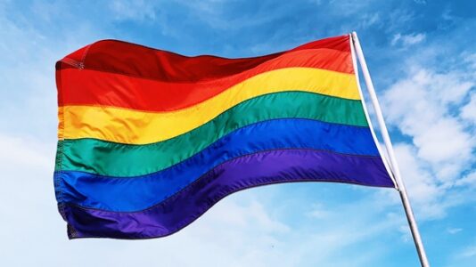 Drag queens protest against Florida law LGBTQ advocates say targets drag shows
