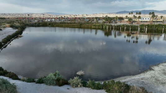 Environmentalists sound the alarm on Salton Sea as oasis is left in the dust