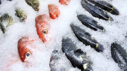 Michigan man charged with assault for allegedly hitting clerk on head with frozen fish
