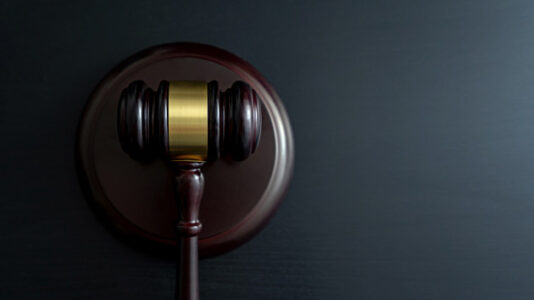 E. Jean Carroll says Harvey Weinstein, #MeToo movement made her come forward about Trump