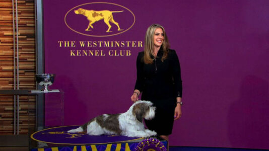Owner speaks out after dog makes history with Westminster win
