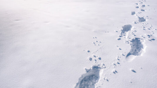Snowpack in the West is melting rapidly. Where will all that extra water go?