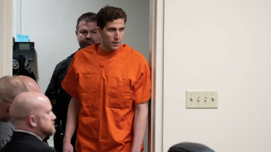 Idaho college murder suspect Bryan Kohberger ‘stands silent’ at arraignment, not guilty plea entered