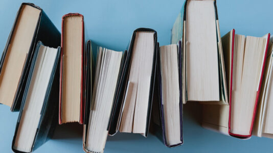 Teachers, librarians targeted by angry parents over LGBTQ books speak out