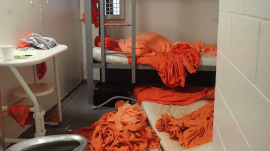 Jeffrey Epstein’s suicide: New details revealed