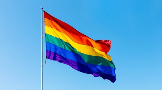 Dozens of Pride flags vandalized at Stonewall monument in NYC, 3rd time this month: Police