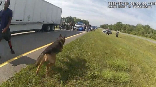 Records shed light on why K-9 cop was fired after siccing dog on trucker: Report