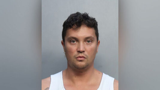 Six-year-old Miami girl escapes alleged kidnapper after biting his arm: Police