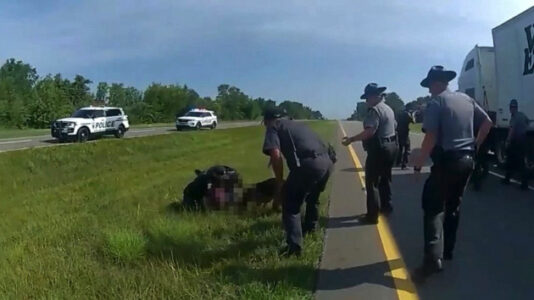 Investigation launched after video shows Ohio police dog attacking suspect with his hands up