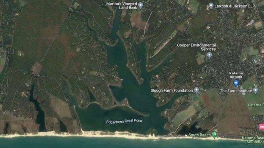 Obamas’ family chef found dead in pond on Martha’s Vineyard, police say