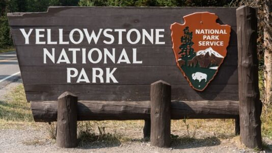 Woman gored by Bison at Yellowstone