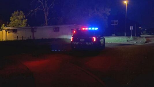 Insanity’: 4th of July mass shootings leave 20 dead, 126 injured
