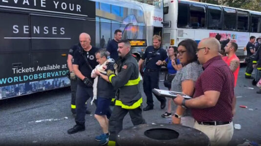 Dozens injured in NYC bus collision: FDNY