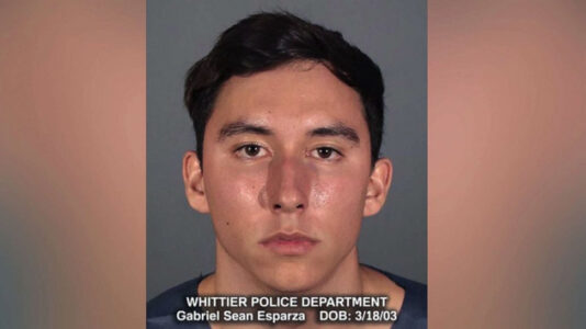 19-year-old woman kidnapped from park and killed was allegedly randomly targeted: Police