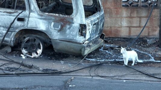 As Maui death toll rises, number of missing remains unclear