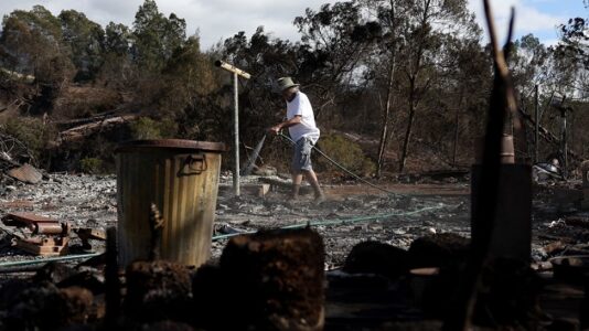 Maui residents targeted in scams to grab land after tragedy, officials say