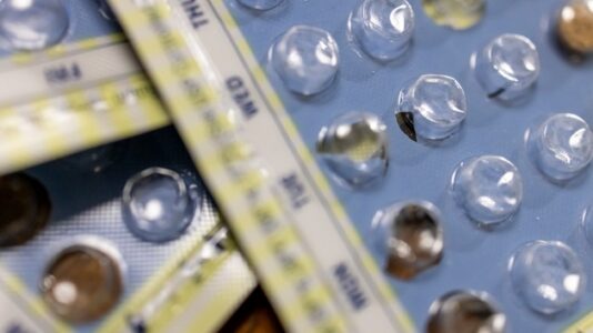 Judge rejects argument by abortion pill maker that state ban violates Constitution