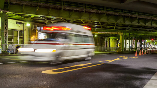 ‘Horrific’ early morning attack by 4 large dogs leaves man in his 70’s dead in middle of the road