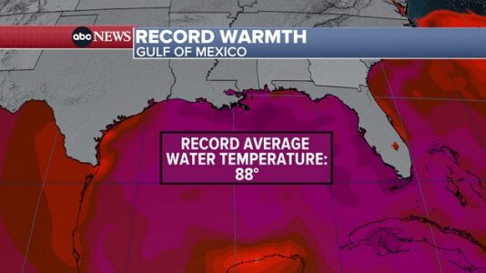 Gulf of Mexico experiences heatwave as ocean scientists prepare for mass