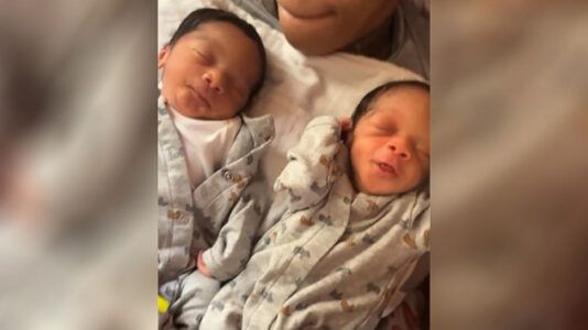 Four arrested in kidnapping of Michigan newborn twins