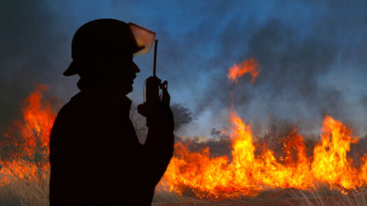 Louisiana’s Tiger Island Fire was caused by arson, state officials say