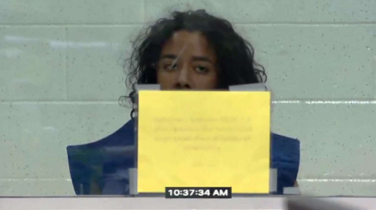 Suspect pleads not guilty by reason of insanity in murder of LA sheriff’s deputy