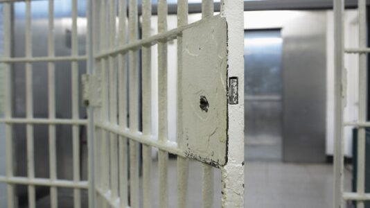 Independent jail monitor says staffing crisis at root of Danelo Cavalcante’s escape