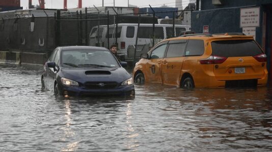 Sea lion escapes from Central Park Zoo pool amid severe New York City flooding