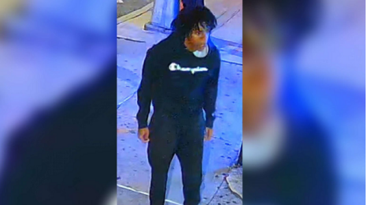18-year-old school worker sought in stabbing death of advocate in NYC