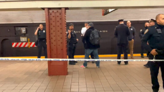 Woman in critical condition after being shoved into moving NYC subway train: Police