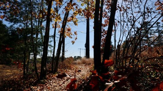 Defense attorney claims ‘wrong man’ on trial in slayings of New Hampshire couple
