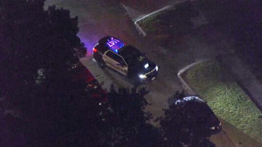 Boyfriend arrested for murder after 21-year-old woman found dead in trunk of her car: Police