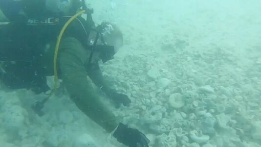 Treasure-hunting divers seek mother lode of riches from 400-year-old shipwreck
