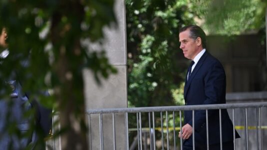 Hunter Biden seeks court permission to subpoena Donald Trump regarding federal gun charges