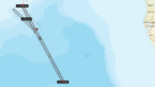 Authorities urgently search for man missing after falling off cruise ship in Gulf of Mexico